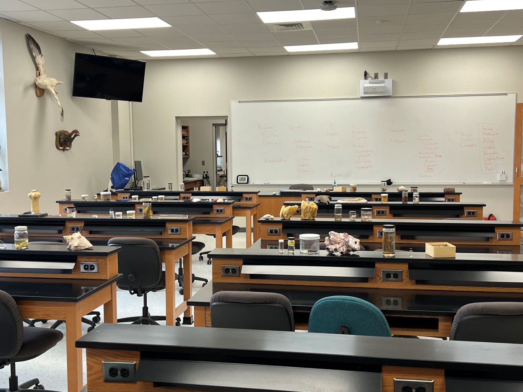 Zoology Classroom